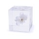������ �� ���� ��ʪ �� ɸ�� ����ƥꥢ ��ʪ ��ޥ����� ���� ���� ��� sola cube ���饭�塼�� ���ե� �ץ쥼��� ����ץ� ���� ���� ������� ����̵�� ��åԥ��б� 