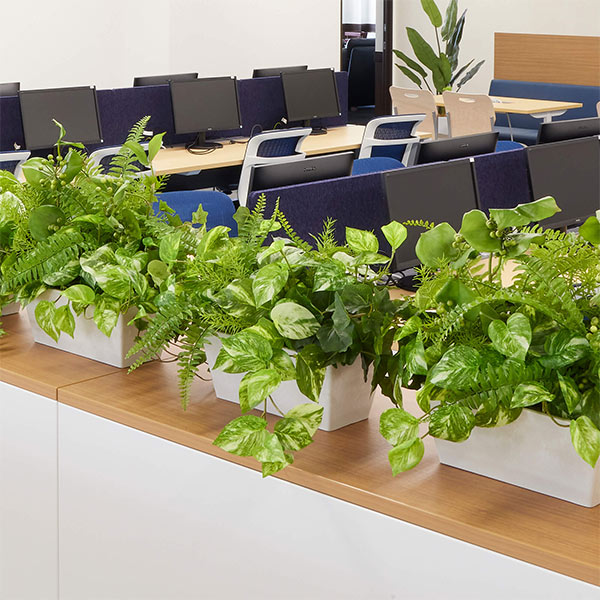 �ե��������꡼�� ���տ�ʪ �͹����տ�ʪ ¤�� ��� �ݥȥ� �����󥿡��ѡ��ơ������ H40cm ������� ����ƥꥢ ȭ ���� ��ʪ ���ˤ� GREENPARK PRGR-1412HI 