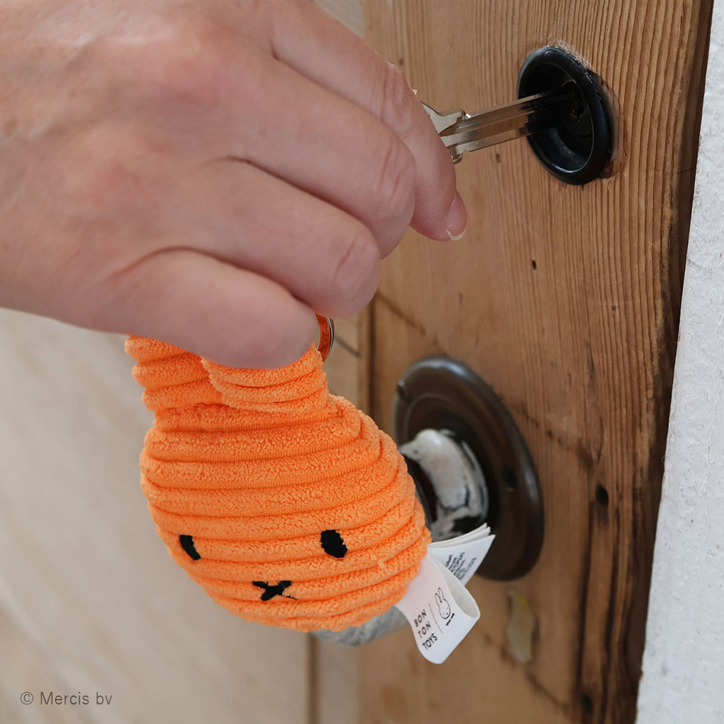 �ߥåե��� �̤������ �����ۥ���� �ե�å� ���å� ��� �Ҷ� ������� ���襤�� �֥롼�� �ץ쥼��� ��åԥ��б� �����ǥ���� 6�аʾ� 10cm BTT-048 ����̵�� 