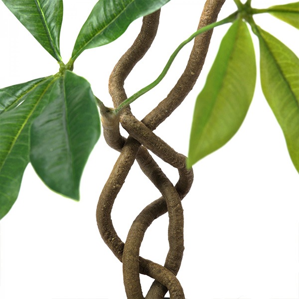 �ե��������꡼�� ���տ�ʪ �͹����տ�ʪ ¤�� ��� �ĥ����ȥѥ��� ���٥ꥹ�ݥå� H95cm ���꡼�� ������� ��ʪ PRGR-1237 ���꡼��ѡ��� GREENPARK ��Ź ����̵�� 