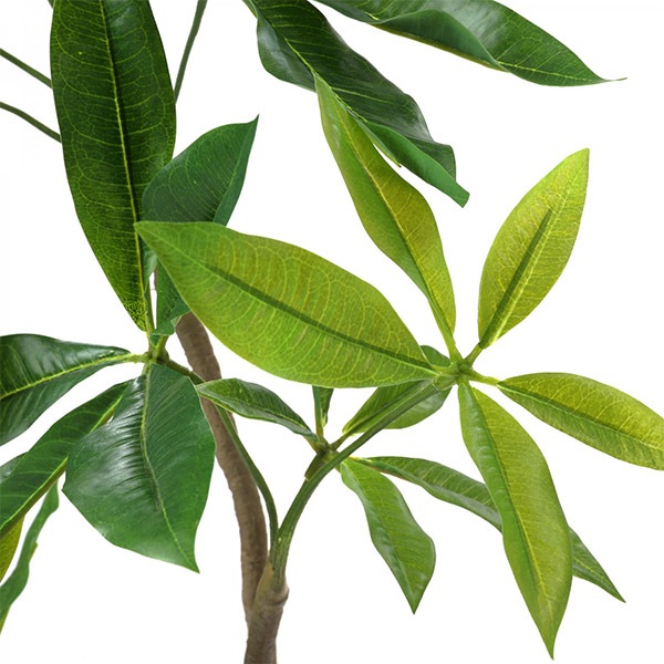 �ե��������꡼�� ���տ�ʪ �͹����տ�ʪ ¤�� ��� �ĥ����ȥѥ��� ���٥ꥹ�ݥå� H95cm ���꡼�� ������� ��ʪ PRGR-1237 ���꡼��ѡ��� GREENPARK ��Ź ����̵�� 