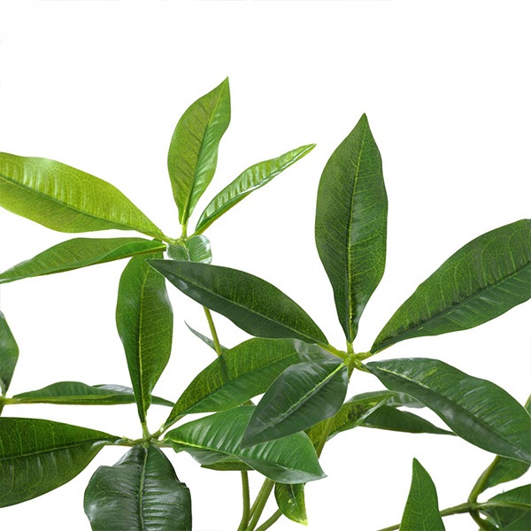 �ե��������꡼�� ���տ�ʪ �͹����տ�ʪ ¤�� ��� �ĥ����ȥѥ��� ���٥ꥹ�ݥå� H95cm ���꡼�� ������� ��ʪ PRGR-1237 ���꡼��ѡ��� GREENPARK ��Ź ����̵�� 