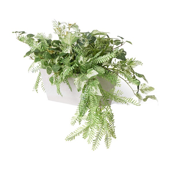 �ե��������꡼�� ���տ�ʪ �͹����տ�ʪ ¤�� ��� �ݥȥ� �����󥿡��ѡ��ơ������ H25cm ������� ����ƥꥢ ��ʪ �ץ쥼��� ���� GREENPARK PRGR-1413LO 