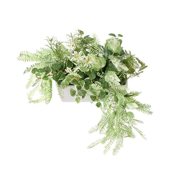 �ե��������꡼�� ���տ�ʪ �͹����տ�ʪ ¤�� ��� �ݥȥ� �����󥿡��ѡ��ơ������ H25cm ������� ����ƥꥢ ��ʪ �ץ쥼��� ���� GREENPARK PRGR-1413LO 