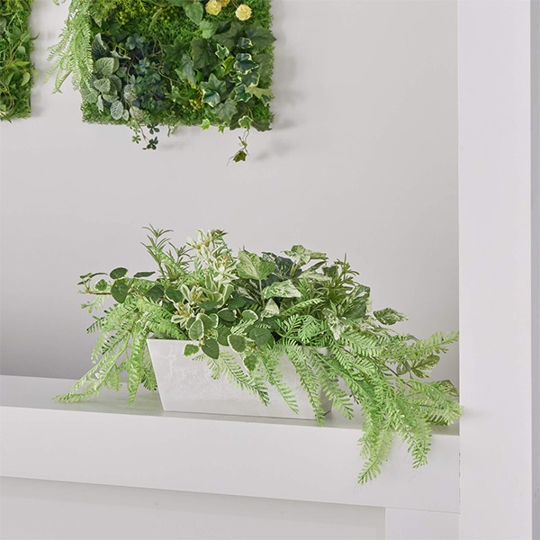 �ե��������꡼�� ���տ�ʪ �͹����տ�ʪ ¤�� ��� �ݥȥ� �����󥿡��ѡ��ơ������ H25cm ������� ����ƥꥢ ��ʪ �ץ쥼��� ���� GREENPARK PRGR-1413LO 