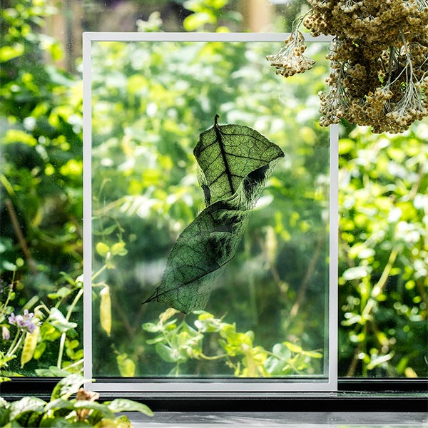 �ݥ����� �����ȥݥ����� ������� �̲� �̲��ݥ����� �ڡ��ѡ����쥯�ƥ��� Floating Leaves 01 A5 ���ꥢ �᡼���� �б� Paper Collective 8113 Ʃ�� �� ����̵�� 