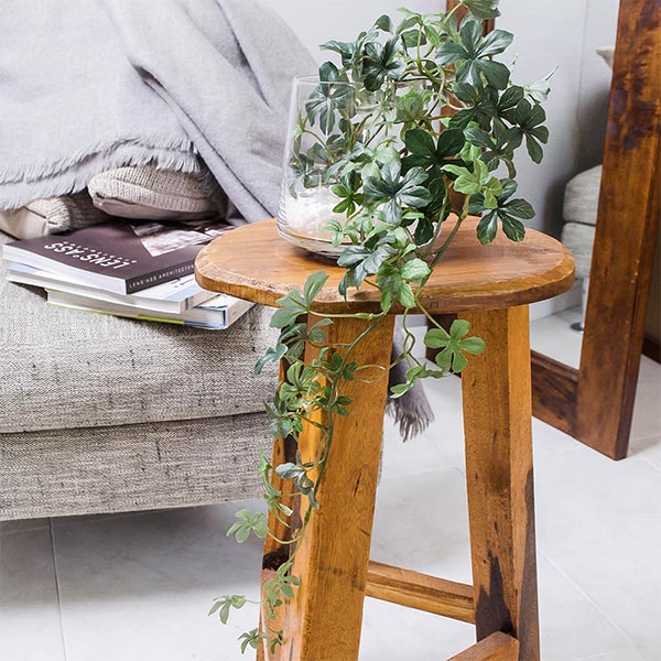 �ե��������꡼�� ���տ�ʪ �͹����տ�ʪ ¤�� ��� ���奬���Х��� �ơ��֥륰�꡼�� ���饹 �ȥ�ڥ����� ����ƥꥢ ������� ��ʪ GREENPARK PRGR-0946 ����̵�� 