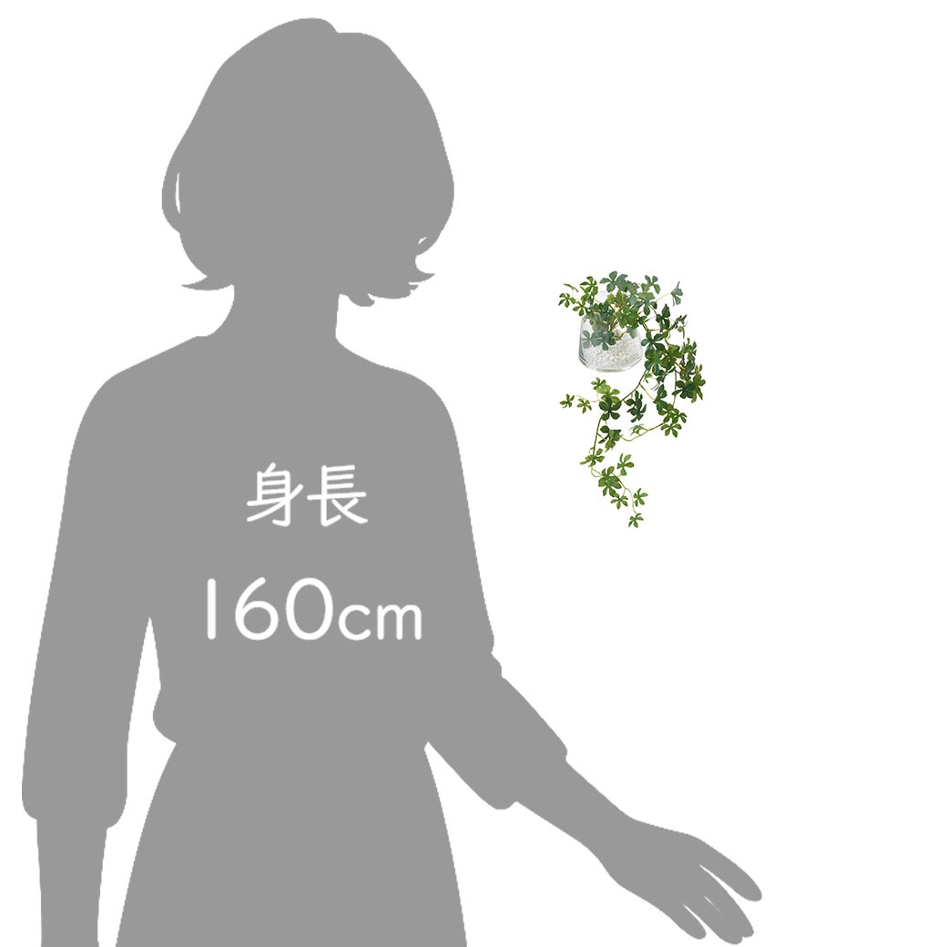 �ե��������꡼�� ���տ�ʪ �͹����տ�ʪ ¤�� ��� ���奬���Х��� �ơ��֥륰�꡼�� ���饹 �ȥ�ڥ����� ����ƥꥢ ������� ��ʪ GREENPARK PRGR-0946 ����̵�� 