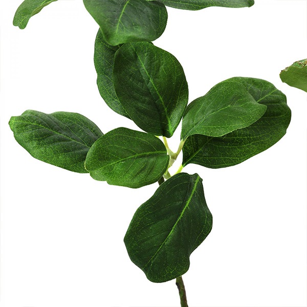 �ե��������꡼�� ���տ�ʪ �͹����տ�ʪ ¤�� ��� �ޥ��Υꥢ�꡼�� ���٥ꥹ�ݥå� H100cm ���꡼�� ������� ��ʪ �͵� PRGR-1330 ���꡼��ѡ��� GREENPARK ����̵�� 