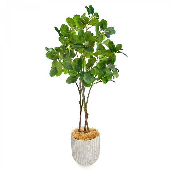 �ե��������꡼�� ���տ�ʪ �͹����տ�ʪ ¤�� ��� �ޥ��Υꥢ�꡼�� ���٥ꥹ�ݥå� H100cm ���꡼�� ������� ��ʪ �͵� PRGR-1330 ���꡼��ѡ��� GREENPARK ����̵�� 