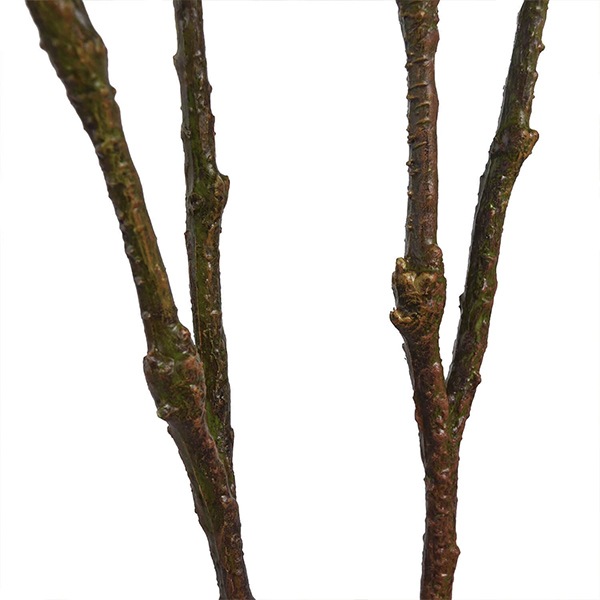 �ե��������꡼�� ���տ�ʪ �͹����տ�ʪ ¤�� ��� �ޥ��Υꥢ�꡼�� ���٥ꥹ�ݥå� H100cm ���꡼�� ������� ��ʪ �͵� PRGR-1330 ���꡼��ѡ��� GREENPARK ����̵�� 