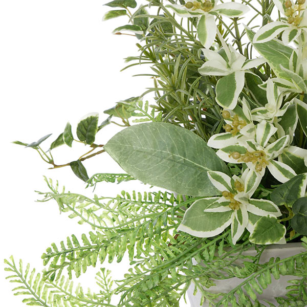 �ե��������꡼�� ���տ�ʪ �͹����տ�ʪ ¤�� ��� �ݥȥ� �����󥿡��ѡ��ơ������ H40cm ������� ����ƥꥢ ��ʪ �ץ쥼��� ���� GREENPARK PRGR-1413HI 