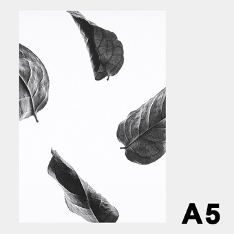 �ݥ����� �����ȥݥ����� ������� �̲� �̲��ݥ����� �ڡ��ѡ����쥯�ƥ��� Floating Leaves 02 A5 ���ꥢ �᡼���� �б� Paper Collective 8116 Ʃ�� �� ����̵�� 