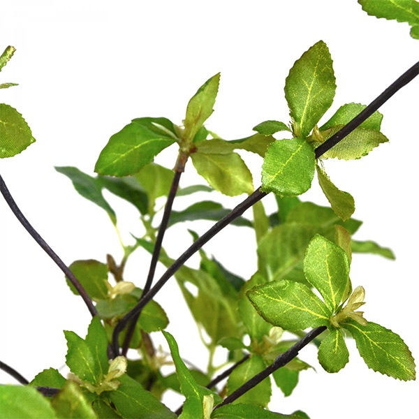 �ե��������꡼�� �͹����տ�ʪ �ɥ�����ĥĥ� �պ� ��ʪ ¤�� ��� ����ƥꥢ ������� �ե��������������� ��� ���饹 ���� �ꥢ�� �ߥ� ������ PRGR-1028 ����̵�� 