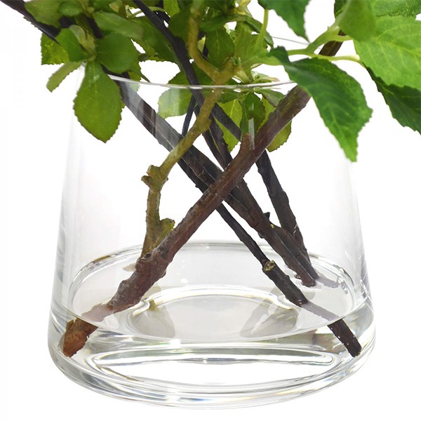 �ե��������꡼�� �͹����տ�ʪ �ɥ�����ĥĥ� �պ� ��ʪ ¤�� ��� ����ƥꥢ ������� �ե��������������� ��� ���饹 ���� �ꥢ�� �ߥ� ������ PRGR-1028 ����̵�� 