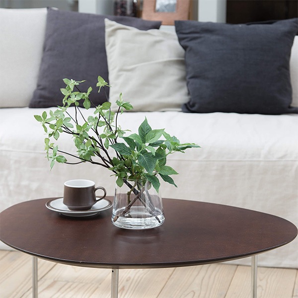 �ե��������꡼�� �͹����տ�ʪ �ɥ�����ĥĥ� �պ� ��ʪ ¤�� ��� ����ƥꥢ ������� �ե��������������� ��� ���饹 ���� �ꥢ�� �ߥ� ������ PRGR-1028 ����̵�� 