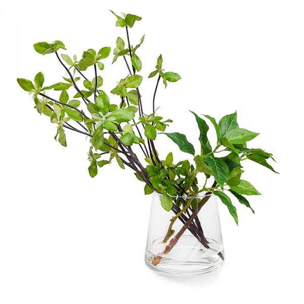 �ե��������꡼�� �͹����տ�ʪ �ɥ�����ĥĥ� �պ� ��ʪ ¤�� ��� ����ƥꥢ ������� �ե��������������� ��� ���饹 ���� �ꥢ�� �ߥ� ������ PRGR-1028 ����̵�� 