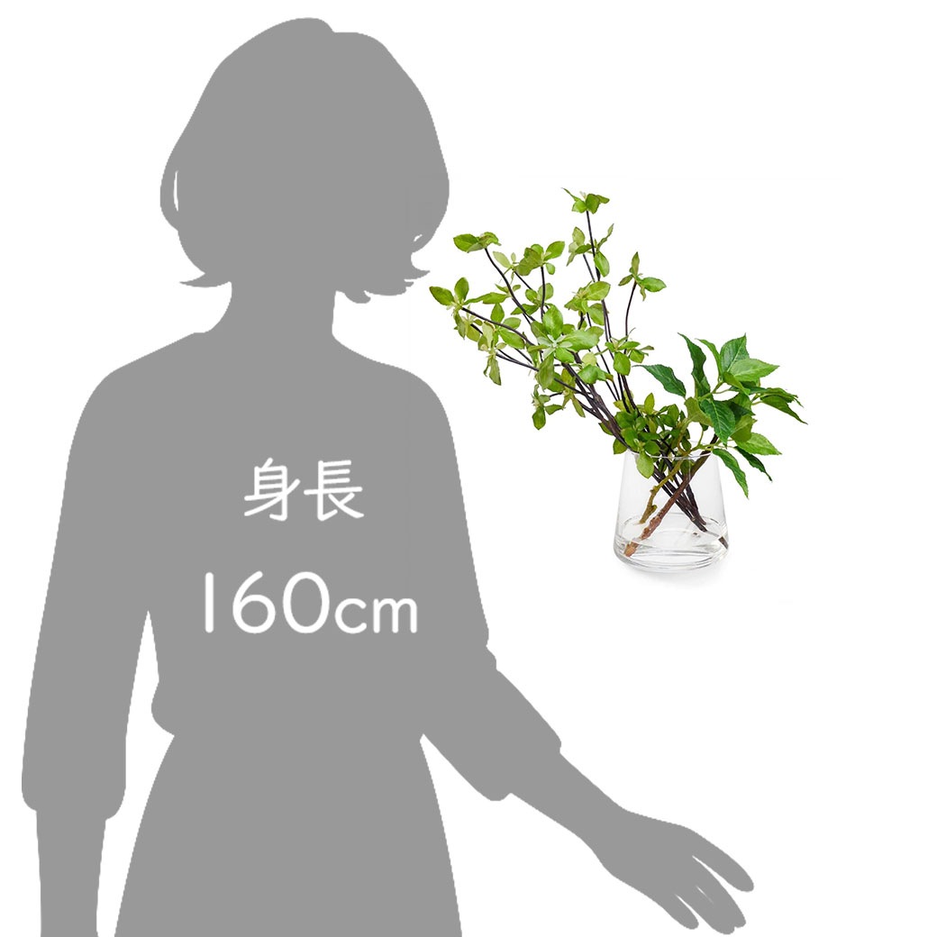 �ե��������꡼�� �͹����տ�ʪ �ɥ�����ĥĥ� �պ� ��ʪ ¤�� ��� ����ƥꥢ ������� �ե��������������� ��� ���饹 ���� �ꥢ�� �ߥ� ������ PRGR-1028 ����̵�� 