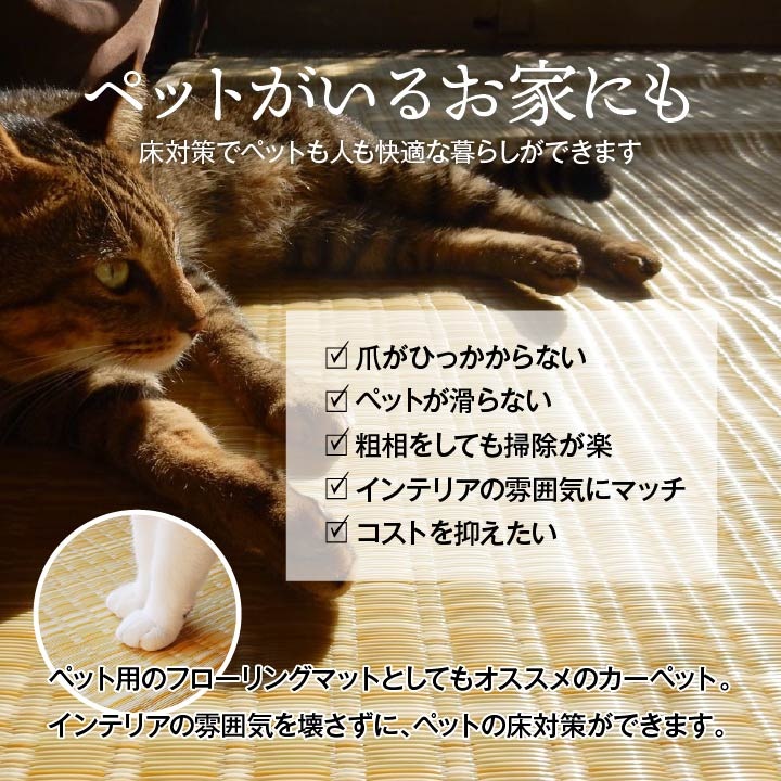 ������ ������ �����ڥå� �Х륫�� ���ʹ� 8�� 348��352cm �饰 �ߤ�ʪ ���� ������ ���� ������ ��ӥ� �����˥� �¥���� ����ƥꥢ �����ҥ� ikehiko ����̵�� 