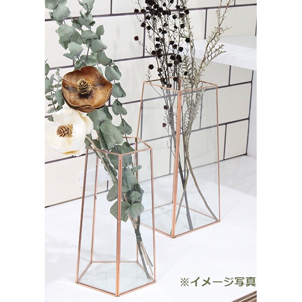 ���� ������� ������� �ե��١��� ��ʪ���� ���쥯����󥱡��� ��Ǽ �İ��� ���饹 �������� �ɥ饤�ե� �ե졼��١��� �إ������� ¼�Ĳ����� 9276 ����̵�� 