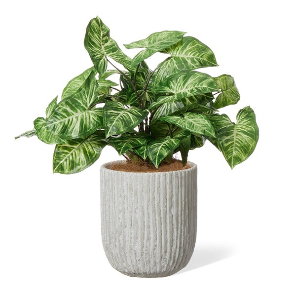 �ե��������꡼�� ���տ�ʪ �͹����տ�ʪ ¤�� ��� �ե����� ��ʪ ����ƥꥢ ������� ���饸���� ���٥ꥹ�ݥå� 46cm ȭ���å� ȭ�� PRGR-1479 GREENPARK 