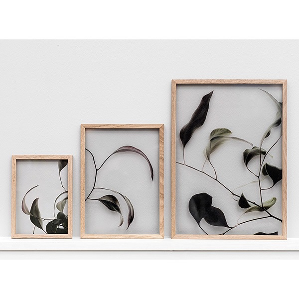 ݥ ȥݥ  ̲ ̲ݥ ڡѡ쥯ƥ Floating Leaves 03 A5 ꥢ ᡼ б Paper Collective 8119 Ʃ  ̵ 