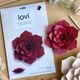 lovi ������ ���� ����ƥꥢ �� �ե� 15cm �̲� ��� ���� �ʥ����� �ڹ� ����ץ� ���� �� ���� ���å� �����ʥ��� �ե������ decor �ǥ����� ����̵�� 