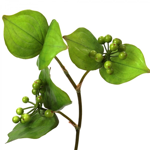 �ե��������꡼�� ���տ�ʪ �͹����տ�ʪ ¤�� ��奵�󥭥饤 �������󥿥� ���������� �������� �ơ��֥륰�꡼�� ����ƥꥢ ��ʪ PRGR-1329 GREENPARK ����̵�� 