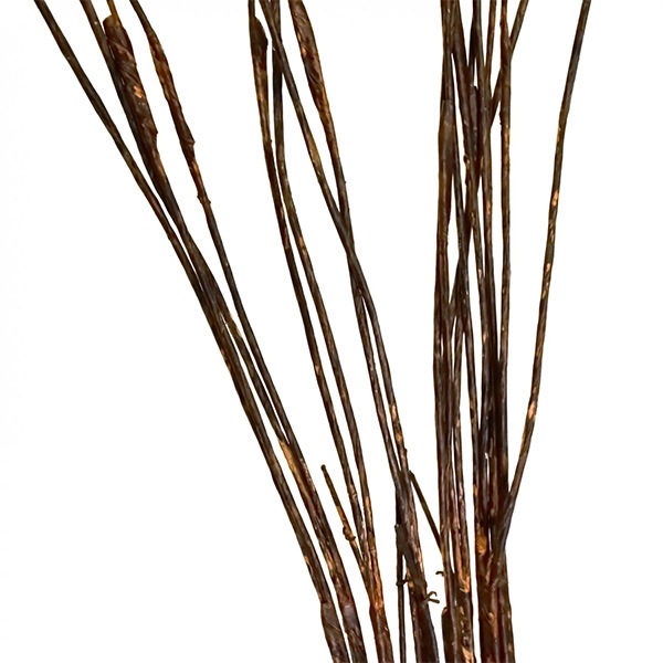 �ե��������꡼�� ���տ�ʪ �͹����տ�ʪ ¤�� ��奵�󥭥饤 �������󥿥� ���������� �������� �ơ��֥륰�꡼�� ����ƥꥢ ��ʪ PRGR-1329 GREENPARK ����̵�� 