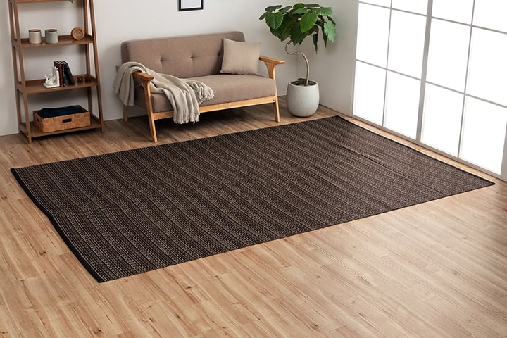 ������ ������ �����ڥå� �Х륫�� ���ʹ� 10�� 435��352cm �饰 �ߤ�ʪ ���� ������ ���� ������ ��ӥ� �����˥� �¥���� ����ƥꥢ �����ҥ� ikehiko ����̵�� 