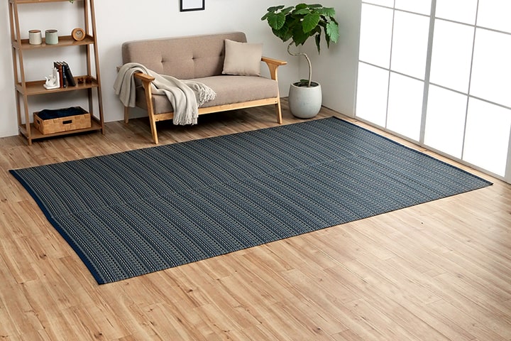 ������ ������ �����ڥå� �Х륫�� ���ʹ� 10�� 435��352cm �饰 �ߤ�ʪ ���� ������ ���� ������ ��ӥ� �����˥� �¥���� ����ƥꥢ �����ҥ� ikehiko ����̵�� 