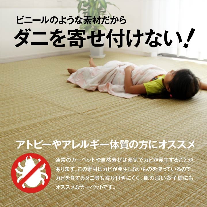 ������ ������ �����ڥå� �Х륫�� ���ʹ� 10�� 435��352cm �饰 �ߤ�ʪ ���� ������ ���� ������ ��ӥ� �����˥� �¥���� ����ƥꥢ �����ҥ� ikehiko ����̵�� 