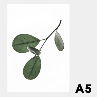 �ݥ����� �����ȥݥ����� ������� �̲� �̲��ݥ����� �ڡ��ѡ����쥯�ƥ��� Floating Leaves 05 A5 ���ꥢ �᡼���� �б� Paper Collective 8125 Ʃ�� �� ����̵�� 