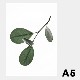 �ݥ����� �����ȥݥ����� ������� �̲� �̲��ݥ����� �ڡ��ѡ����쥯�ƥ��� Floating Leaves 05 A5 ���ꥢ �᡼���� �б� Paper Collective 8125 Ʃ�� �� ����̵�� 