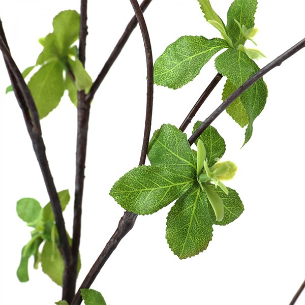 �ե��������꡼�� ���տ�ʪ �͹����տ�ʪ ¤�� ��� �ɥ�����ĥĥ� �������󥿥� �ơ��֥륰�꡼�� ������������������ ���꡼��ѡ���PRGR-1305 GREENPARK ����̵�� 