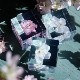 ������ �� ���� ��ʪ �� ɸ�� ����ƥꥢ ��ʪ ���ޥĥ��ȥ� �������� ��� sola cube ���饭�塼�� ���ե� �ץ쥼��� ����ץ� ���� ���� ������� �İ��� ����̵�� ��åԥ��б� 