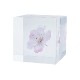������ �� ���� ��ʪ �� ɸ�� ����ƥꥢ ��ʪ ���ޥĥ��ȥ� �������� ��� sola cube ���饭�塼�� ���ե� �ץ쥼��� ����ץ� ���� ���� ������� �İ��� ����̵�� ��åԥ��б� 