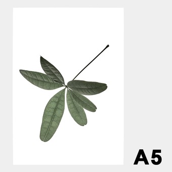 �ݥ����� �����ȥݥ����� ������� �̲� �̲��ݥ����� �ڡ��ѡ����쥯�ƥ��� Floating Leaves 06 A5 ���ꥢ �᡼���� �б� Paper Collective 8128 Ʃ�� �� ����̵�� 