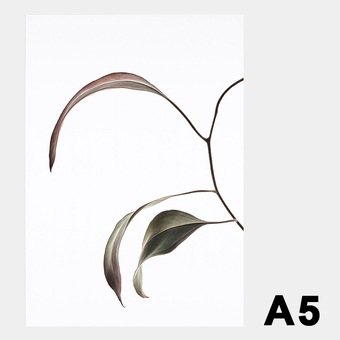 �ݥ����� �����ȥݥ����� ������� �̲� �̲��ݥ����� �ڡ��ѡ����쥯�ƥ��� Floating Leaves 07 A5 ���ꥢ �᡼�����б� Paper Collective 8131 Ʃ�� �� ����̵�� 