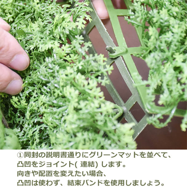 �ե��������꡼�� ���տ�ʪ �͹����տ�ʪ ¤�� �ɳݤ� ���꡼��ѥͥ� �緿 I������ 50cm ��������ץ��� �ݥȥ� �����ӡ� ����ƥꥢ PRGR-1568EP GREENPARK ����̵�� 