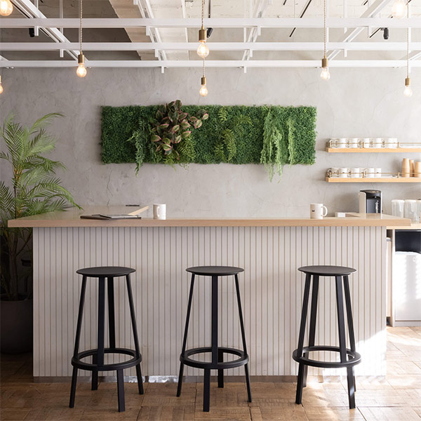 �ե��������꡼�� ���տ�ʪ �͹����տ�ʪ ¤�� �ɳݤ� ���꡼��ѥͥ� �緿 I������ 50cm ��������ץ��� �ݥȥ� �����ӡ� ����ƥꥢ PRGR-1568EP GREENPARK ����̵�� 