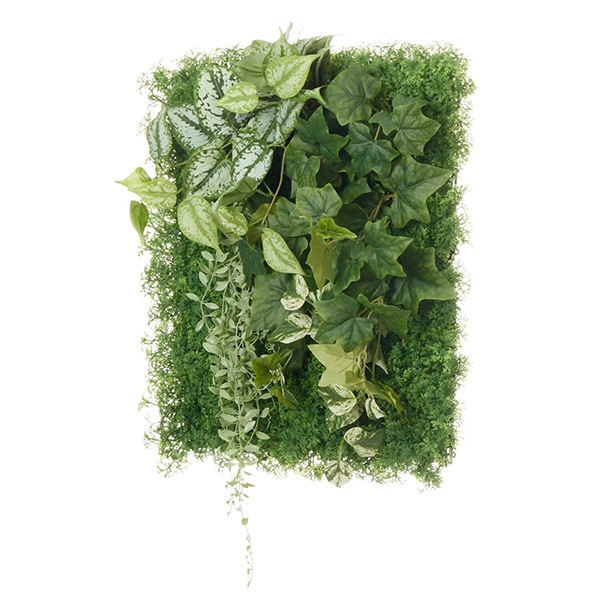 �ե��������꡼�� ���տ�ʪ �͹����տ�ʪ ¤�� �ɳݤ� ���꡼��ѥͥ� �緿 I������ 50cm ��������ץ��� �ݥȥ� �����ӡ� ����ƥꥢ PRGR-1568EP GREENPARK ����̵�� 