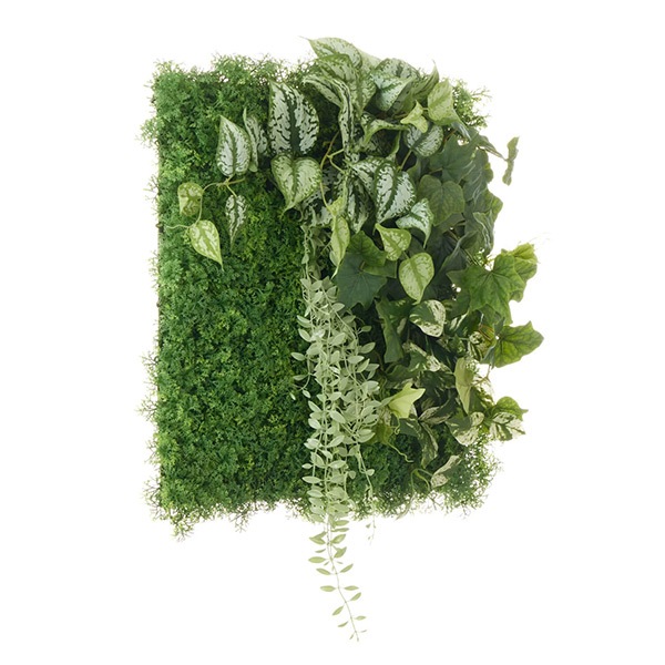 �ե��������꡼�� ���տ�ʪ �͹����տ�ʪ ¤�� �ɳݤ� ���꡼��ѥͥ� �緿 I������ 50cm ��������ץ��� �ݥȥ� �����ӡ� ����ƥꥢ PRGR-1568EP GREENPARK ����̵�� 