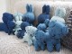 �̤������ �ߥåե��� ��� �ǥ˥� ���å� 23cm ������� ������ ������ ���襤�� �ץ쥼��� ���ե� �ǥ˥����� ������ ��åԥ��б� ����ƥꥢ BTT-007 ����̵�� 