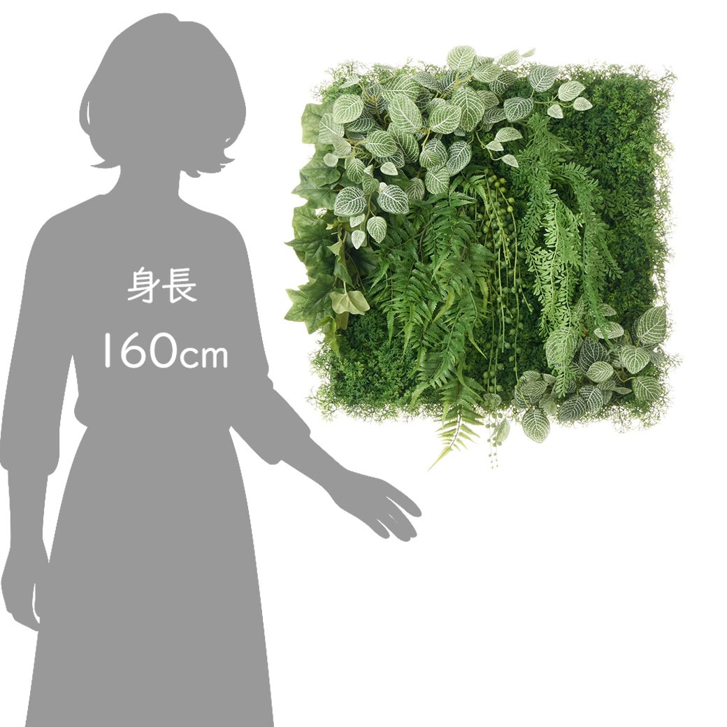 �ե��������꡼�� ���տ�ʪ �͹����տ�ʪ ¤�� �ɳݤ� ���꡼��ѥͥ� �緿 J������ 50cm �ե��åȥ˥� �����ӡ� ���� ����ƥꥢ ���� PRGR-1569EP GREENPARK ����̵�� 