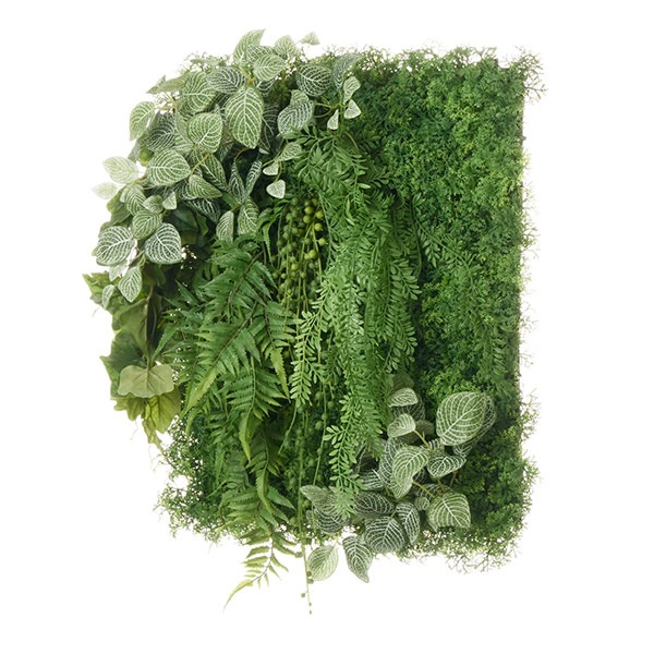 �ե��������꡼�� ���տ�ʪ �͹����տ�ʪ ¤�� �ɳݤ� ���꡼��ѥͥ� �緿 J������ 50cm �ե��åȥ˥� �����ӡ� ���� ����ƥꥢ ���� PRGR-1569EP GREENPARK ����̵�� 