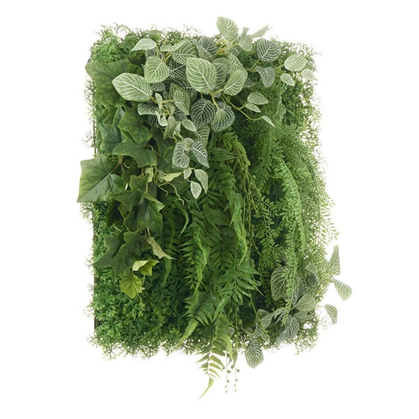 �ե��������꡼�� ���տ�ʪ �͹����տ�ʪ ¤�� �ɳݤ� ���꡼��ѥͥ� �緿 J������ 50cm �ե��åȥ˥� �����ӡ� ���� ����ƥꥢ ���� PRGR-1569EP GREENPARK ����̵�� 