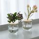 WECK ���塼��åץ������� 370ml ������6�ĥ��å� ����å� ����ѥå��� ���ꥳ�󥭥�å� ��ʨ̩�� �����å� WE-746 ����˥����� ���饹�� ̩���ƴ� �ե�M������ Tulip shape ����̵�� 