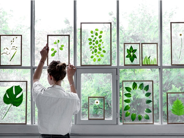 �۱� �ݥ������ե졼�� A4 �ե졼�� MOEBE �ࡼ�� Ʃ�� �̿�Ω�� �ɳݤ� ������ 32��23cm ��������� �ɳݤ� �̲� ������� �ݥ����� ������ ����� ���顼 �� ����̵�� ��åԥ��б� 