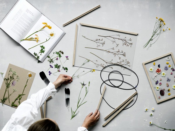 �۱� �ݥ������ե졼�� A4 �ե졼�� MOEBE �ࡼ�� Ʃ�� �̿�Ω�� �ɳݤ� ������ 32��23cm ��������� �ɳݤ� �̲� ������� �ݥ����� ������ ����� ���顼 �� ����̵�� ��åԥ��б� 